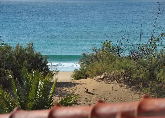 Quarto em Acomodações Particulares Theresia's Porto Santo